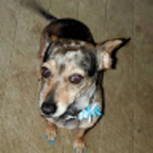 Meet your Posher, Alana